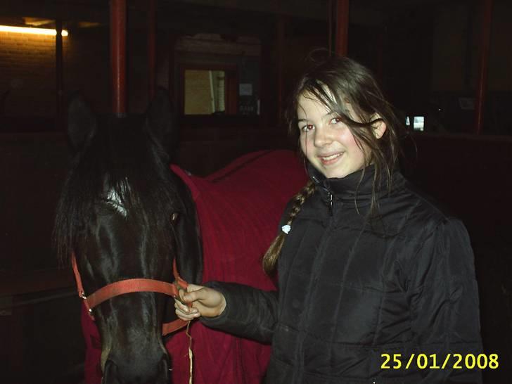 Anden særlig race Faithfull Frenchy - uuh mit første stævne kan mærke sommefugle hehe billede 1