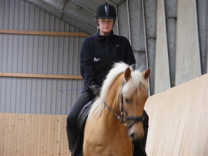 Palomino honey billede 10