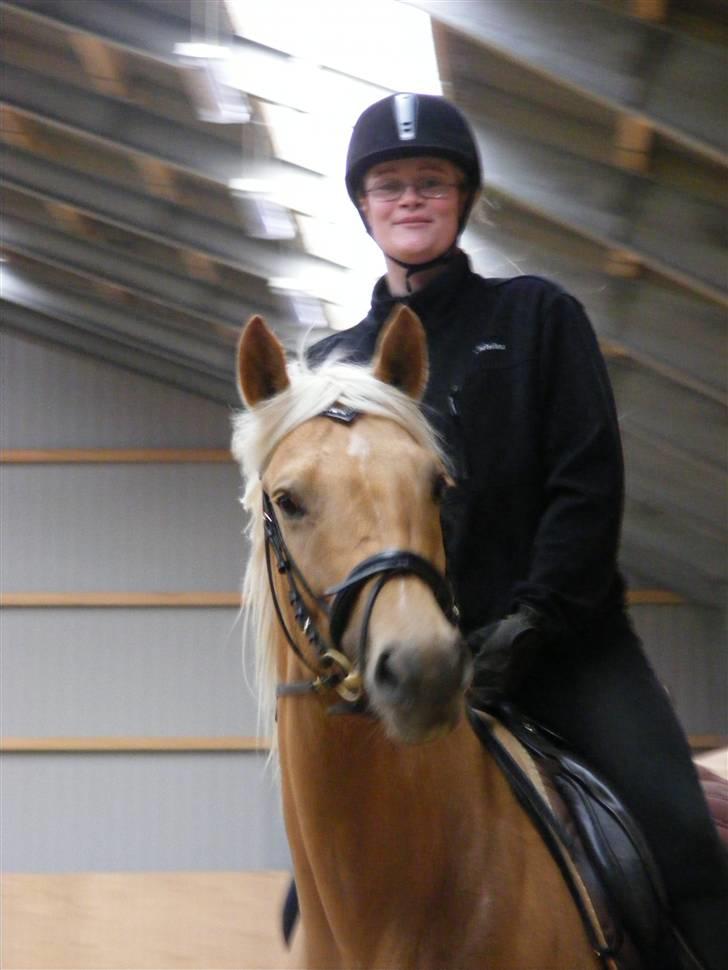 Palomino honey billede 12