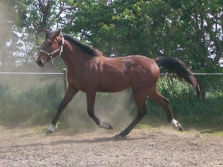 Traver - Paschal Å - 9; En dejlig sommerdag :] billede 9