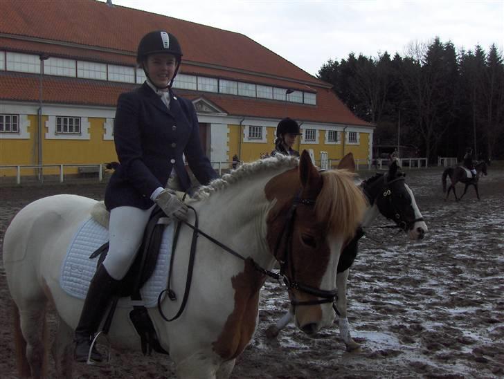 Pinto holger SOLGT ;( - sideste dressur stævne sammen :( billede 13