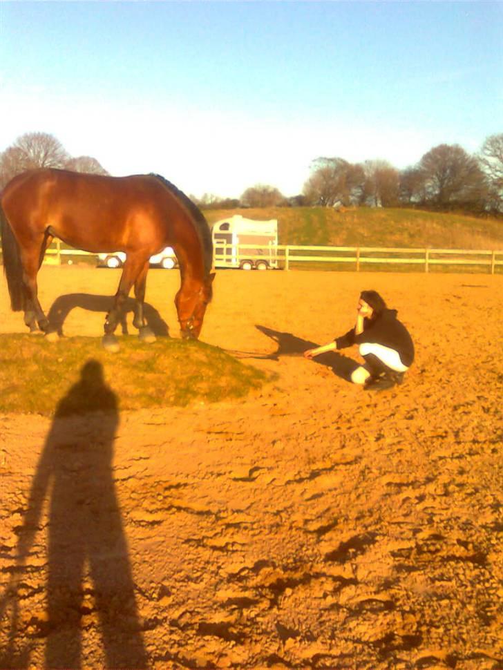 Traver Lady vangsgaard Solgt. - > I <3 Lady <  billede 14