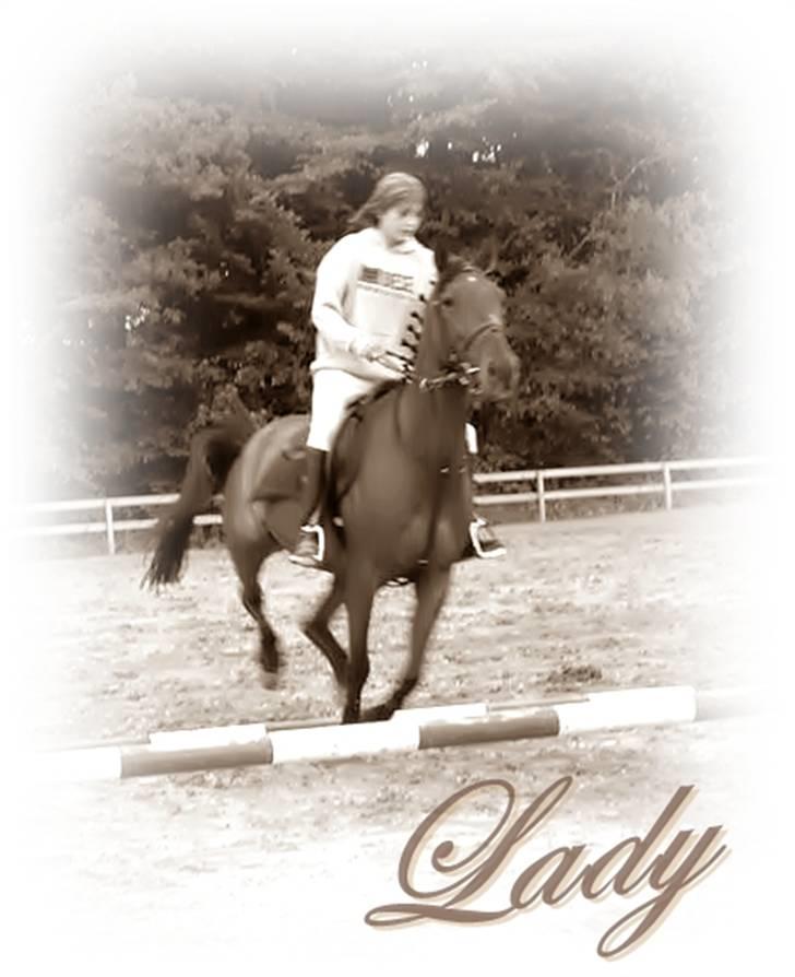 Traver Lady vangsgaard Solgt. - > I <3 Lady <15/6-09 Spring - mig og lady billede 16