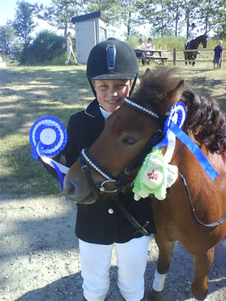 Anden særlig race Max SOLGT - *NYT* Max til sit aller første stævne :D her søndag d. 8/6 red de LE og LC1 dressur hvor de i begge klasser red til en 2 plads :D så stolt af den bette man<3 (det skal siges at han kun har været tilredet i ca. 2 uger her til stævnet) billede 1