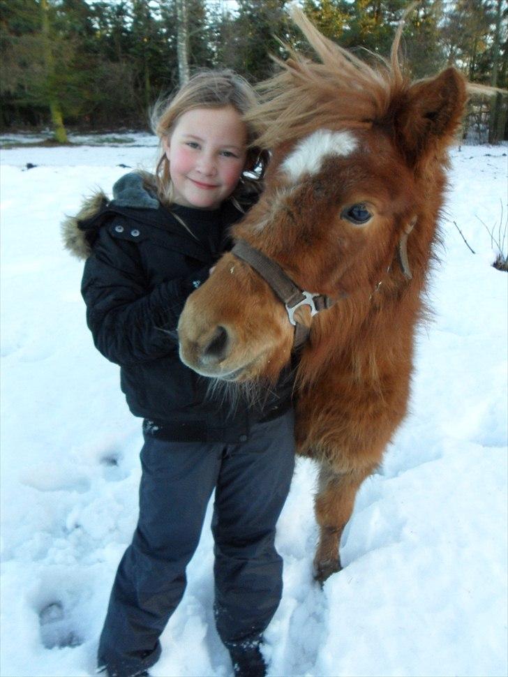 Anden særlig race Fiona - Fiona og min søster Lærke i vinteren 2010 :) billede 9