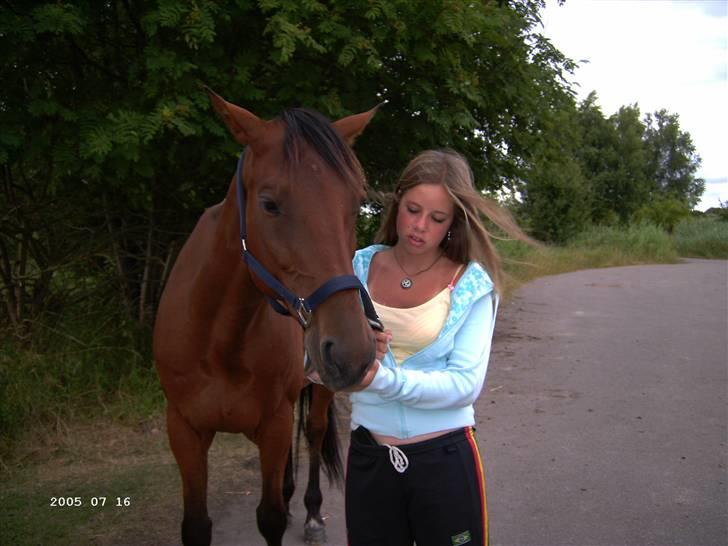 Traver Gelmin Follo - Sådan så han ud dengang jeg næsten lige have fået ham :O billede 16