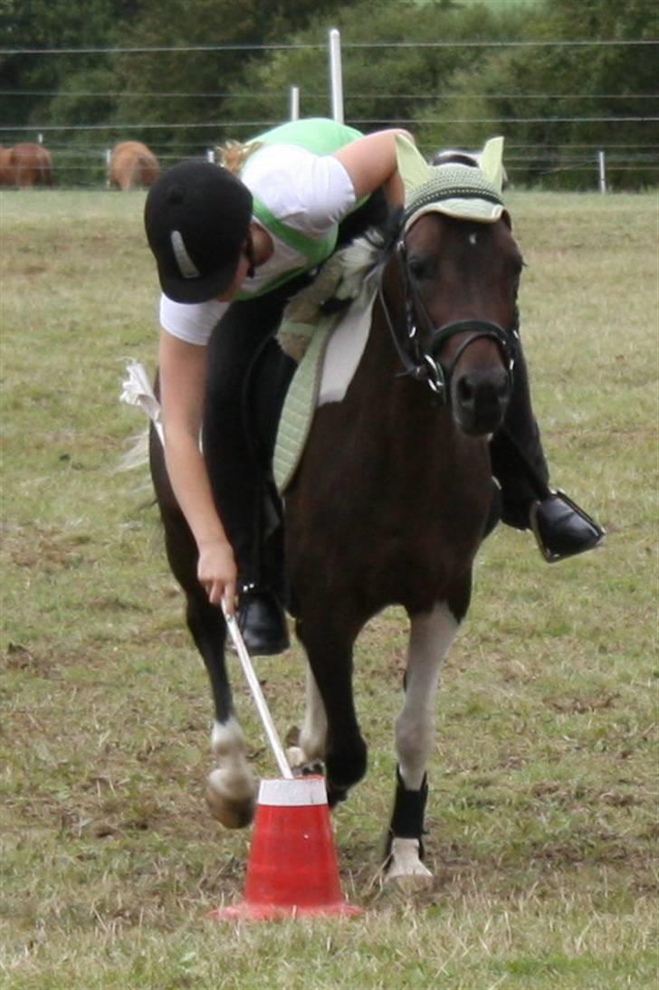 Pinto Spirit  - DM individuel i mounted games:) vandt D-finalen<3 leg: 2 flag billede 8