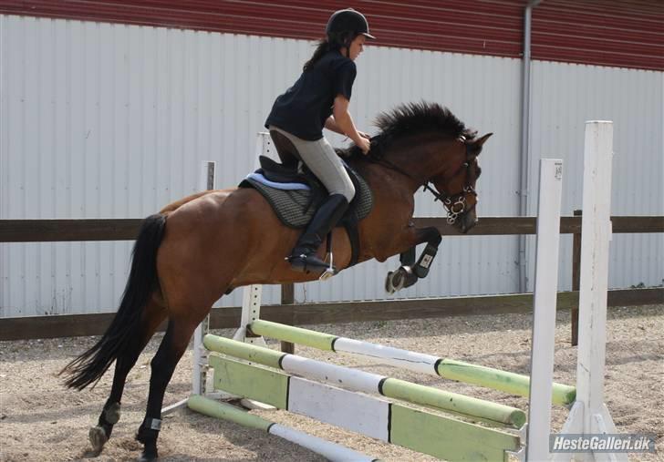 Anden særlig race Mister Mani - Spring dag *ISR* 65 cm :-)
*taget af catrine* billede 8