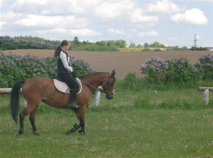 Anden særlig race Chiquitha R.I.P minskath† billede 19