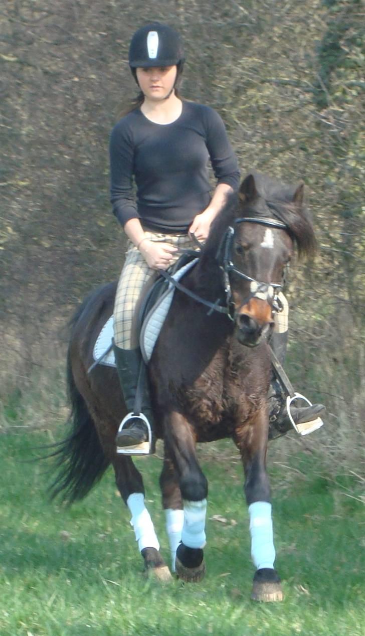 Anden særlig race Frede *soulmate* - fordi du var og vil altid være drømmeponyen i den virkelige verden. billede 7