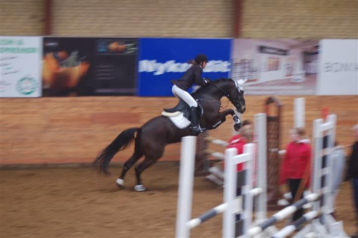 DSP Pretty Madonna - C-stævne i Ikast.. -undskyld kvalliteten billede 13