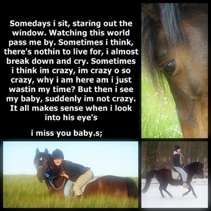 Anden særlig race Frede *soulmate* - end ikke døden kan skille os. for du vil altid have den største plads i mit hjerte. billede 12