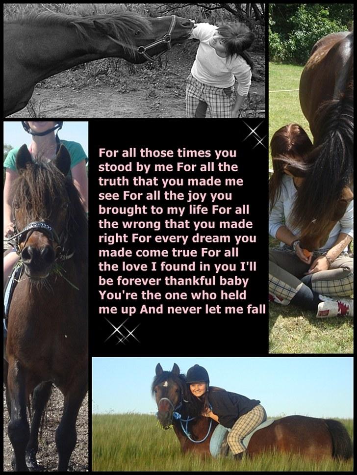 Anden særlig race Frede *soulmate* - fordi du aldrig dømmer mig, men altid er klar til at hjælpe mig op i humør. billede 19