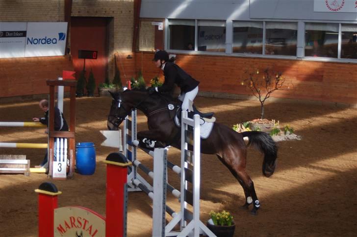 DSP Pretty Madonna - C-stævne i Ikast billede 15