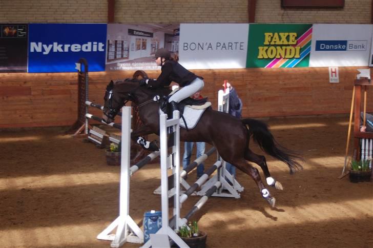 DSP Pretty Madonna - C-stævne i Ikast billede 16