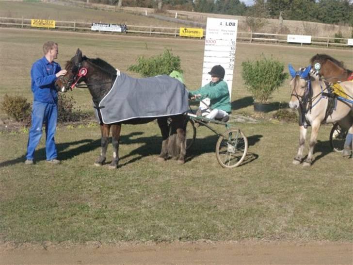 Anden særlig race Charmer - jah så blev vi vinder af klubmesterskabet i vores klasse 2009 :) elsker dig Charmer billede 10