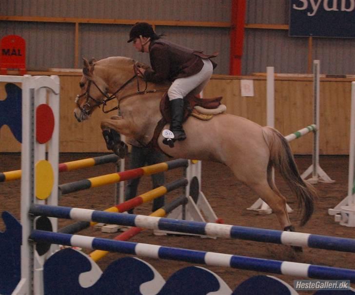 Anden særlig race Mille - B-pony - SOLGT ;/ - Stævne i Egtved :) i Lb eller La :) billede 6