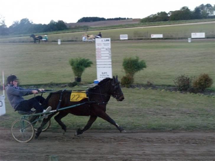 Anden særlig race Charmer - Charmer køres af jacob :) da Jeg ikk selv turde. men det ser jo fint ud :)  billede 15