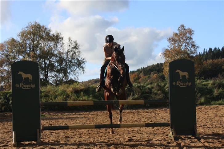 Anden særlig race De Light - bette opvarmining, åååårh det er SJOVT siger Light!:D billede 17