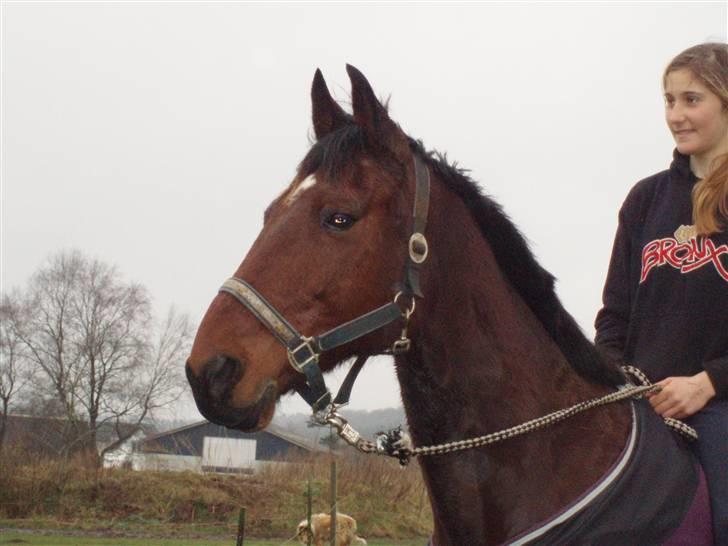 Anden særlig race De Light billede 18