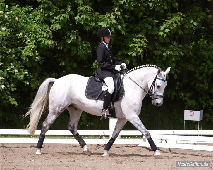 Anden særlig race Åge<33 - LB1- Morsø ´09 4 plads :) Foto: Marie. billede 10