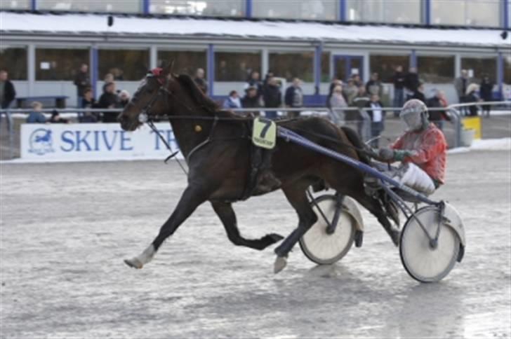 Traver Morassi (S) *Bortgivet til min veninde Karina* - Morassi til sejr d. 24-3-08´ billede 12