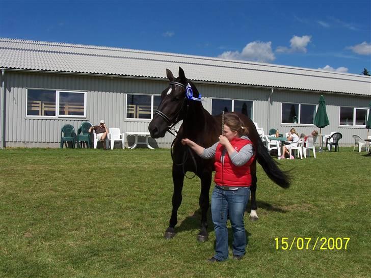 Oldenborg Diosa af stensbjerg billede 18
