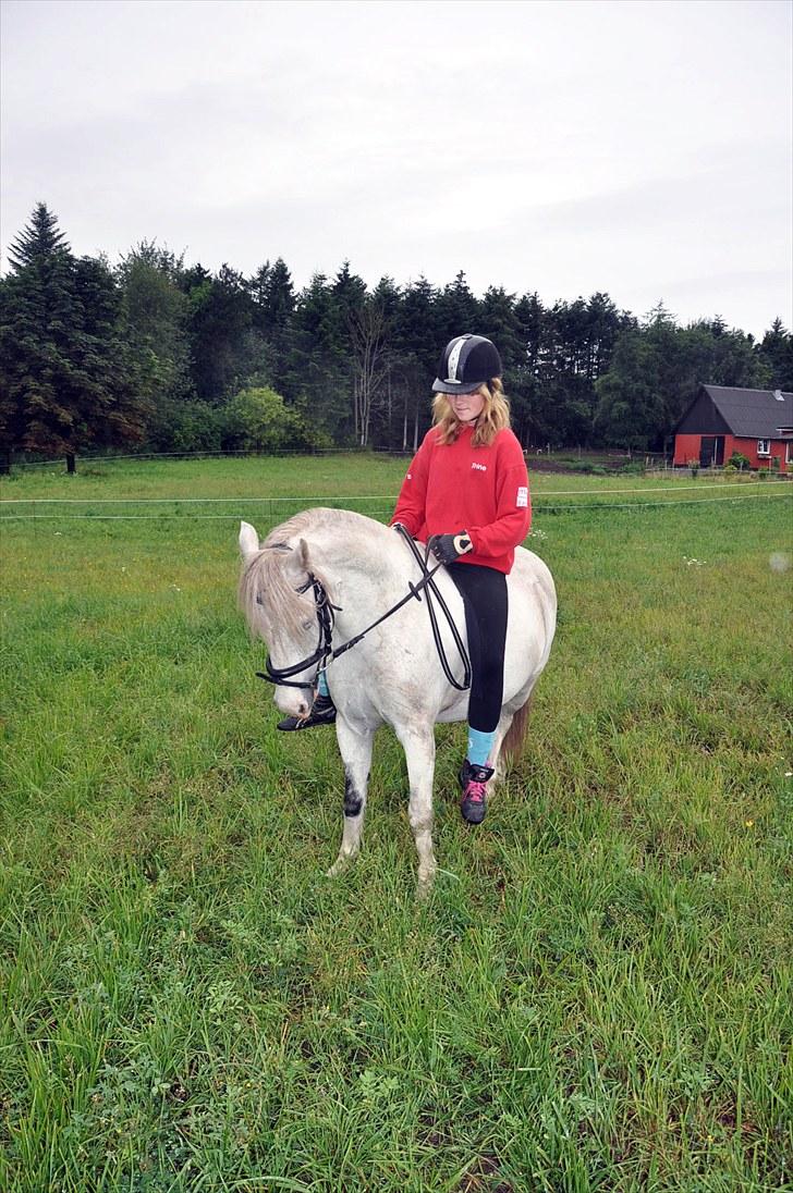 Anden særlig race Gameboy <3 *solgt* /: - Puttemand & jeg. Da moonie og jeg var på weekend der oppe, prøvede jeg lige puttemand en tur på marken. Han kan stadig huske hvordan han skal gå når jeg sidder på ham (´:  - foto : amanda´s mor :) billede 10