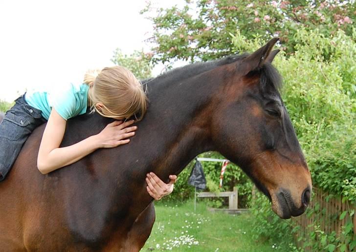 New Forest Prins Albert - Hygge i haven, elsker den dreng ! :-* Foto: Mor<3 billede 2