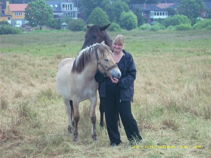 Fjordhest Dior **solgt/Efterlyses** - mig og Dior juni 2008 billede 7