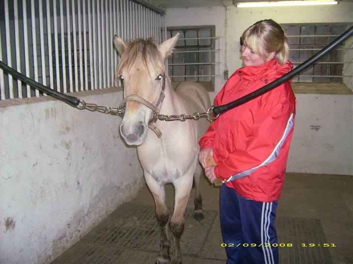 Fjordhest Dior **solgt/Efterlyses** - Dior og mig (sep. 2008) billede 10
