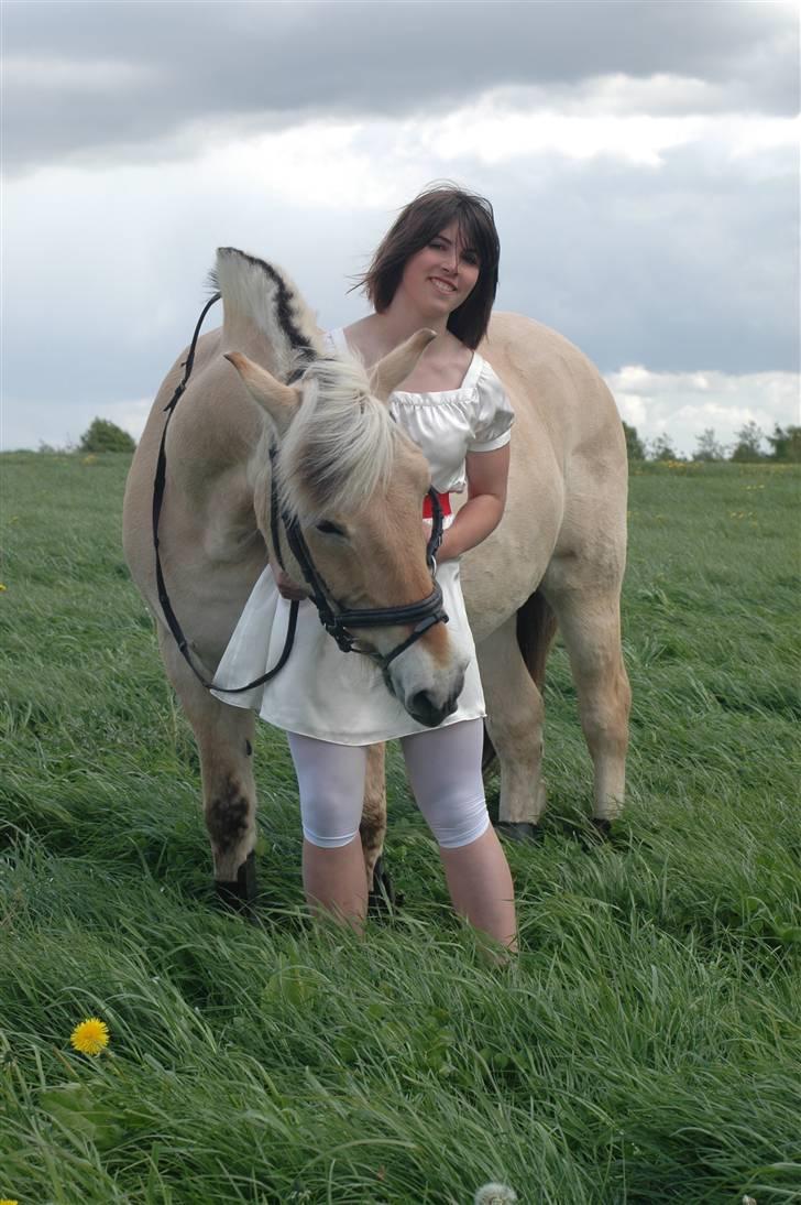 Fjordhest Simba <3 solgt - 9 maj  2009 - dagen efter konfi. <3  billede 7