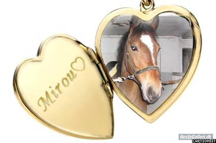 Anden særlig race Mirou *Solgt* billede 11