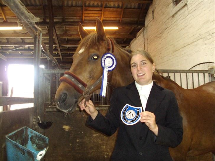 Arabisk fuldblod (OX) El Sheik Charme - 2. plads efter vores første LC1  billede 5