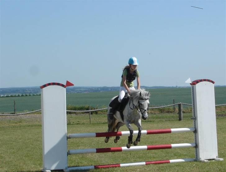 DSP Snorgaardens Maggi (RIP) - Stævne på SKO billede 5