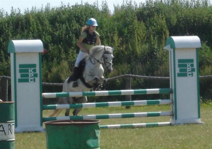 DSP Snorgaardens Maggi (RIP) - Stævne på SKO billede 11