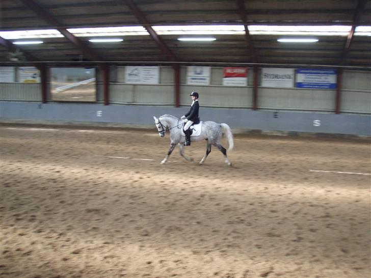 Anden særlig race Amigo(slogt d.7/5-10) - Spring pony=Dressur pony<3 hehe billede 11