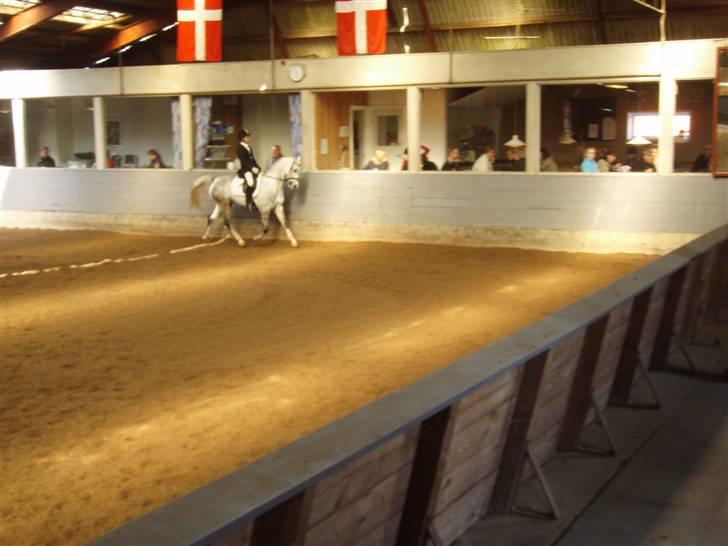 Anden særlig race Amigo(slogt d.7/5-10) - Min fine spring pony<3 billede 12
