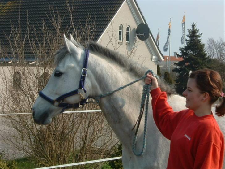 Anden særlig race Je t'aime *Solgt* billede 14