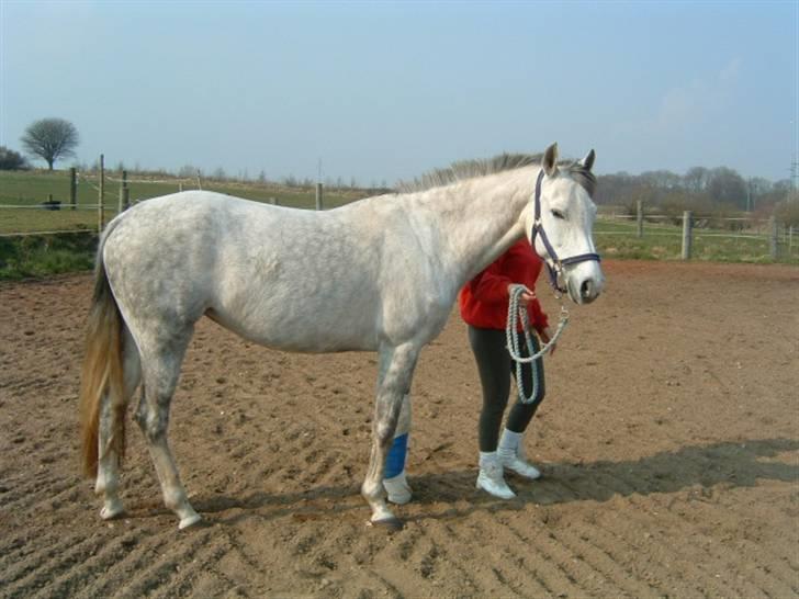 Anden særlig race Je t'aime *Solgt* - Savner dig så utroligt meget Je t´aime..  <3 :´( ville ønske tiden kunne spoles tilbage...  billede 18