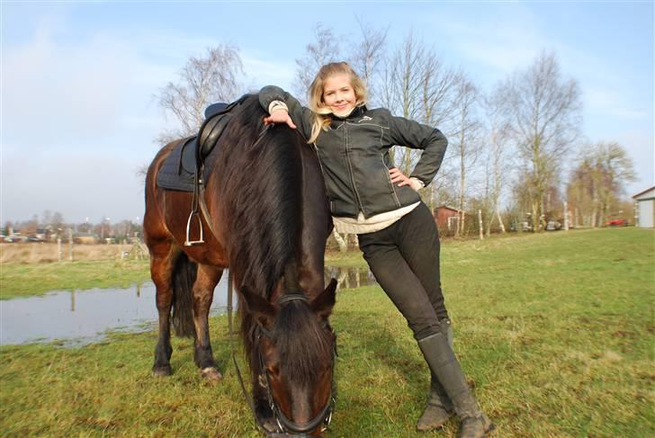 Nordsvensk Skovhest Kingo (Himmelhest) - *Den dejligste* billede 10