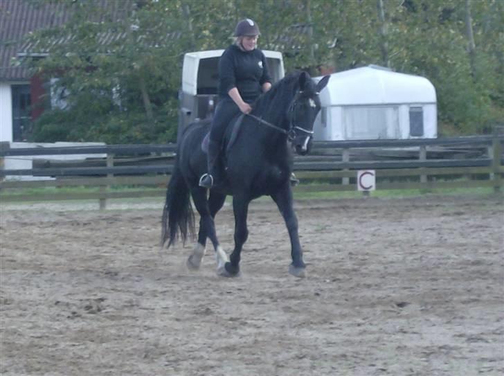 Oldenborg Milan billede 13