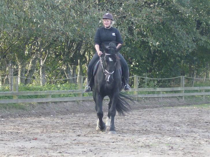 Oldenborg Milan billede 14