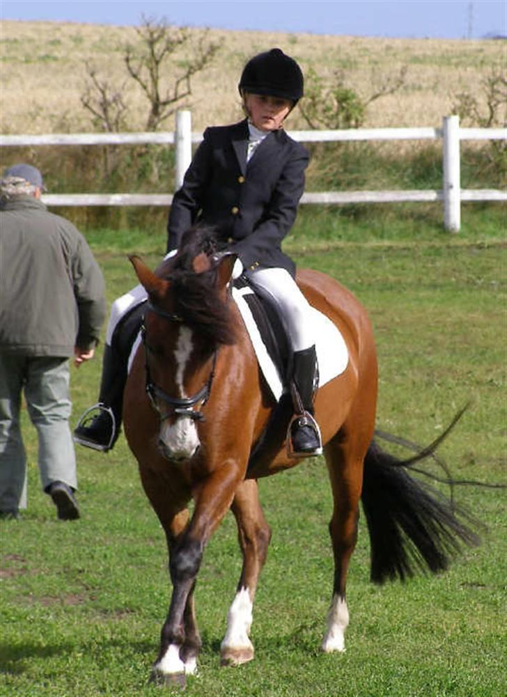 Anden særlig race Moonlight ( SOLGT) <3 - Opvarmning Nmrc 09.08.2008 billede 7