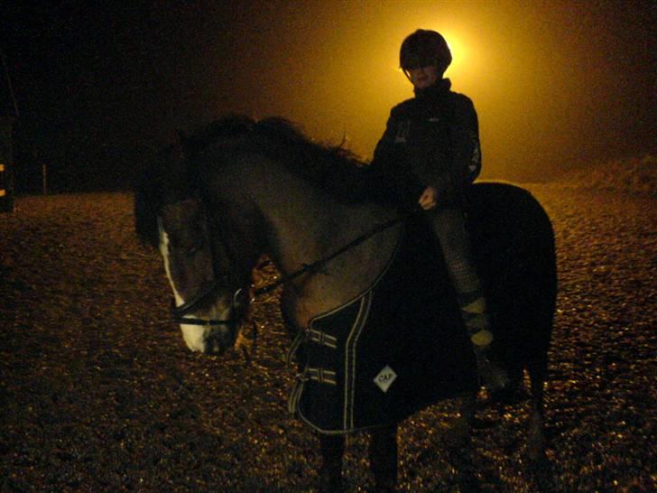 Anden særlig race Moonlight ( SOLGT) <3 - Vi hygger os bare lidt om aften :* <3 mors prinsesse <3 billede 10