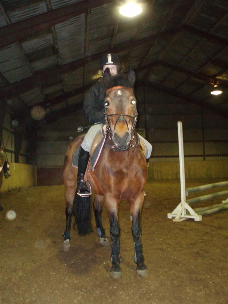 DSP Star(solgt)<3 - mig og star<´333 billede 18