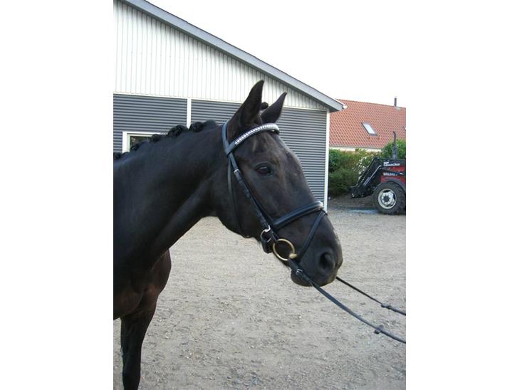 {{currentPhoto.altText}} billede {{currentPhoto.number}}