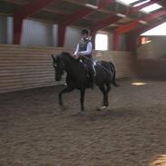 Anden særlig race Dino Girl