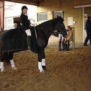 Connemara Skatholmsbluethunder