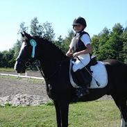 Connemara Skatholmsbluethunder